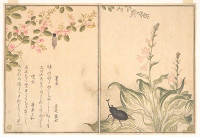  door Kitagawa Utamaro