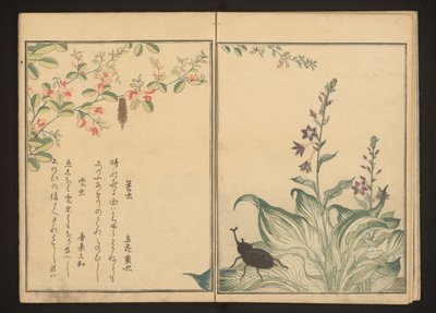 Basketworm en helmkever op bush clover en preibloem door Kitagawa Utamaro