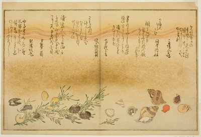 Beni-gai, hora-gai, urauzu-gai, wasure-gai, chiyonohana-gai, en masuho-gai, uit het geïllustreerde boek "Geschenken van de eb (Shiohi no tsuto)" door Kitagawa Utamaro