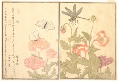  door Kitagawa Utamaro