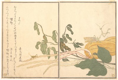 Kegelhoofdsprinkhaan of locust (batta); Bidsprinkhaan (Tōrō of Kamakiri), uit het prentenboek over kruipende beestjes (Ehon mushi erami) door Kitagawa Utamaro