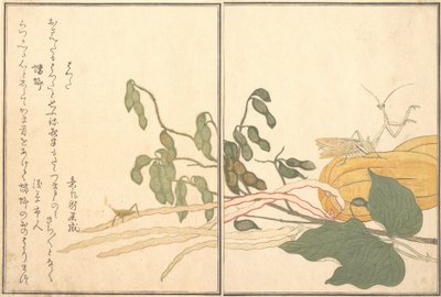 Kegelkop Sprinkhaan of Sprinkhaan, batta, Biddende Mantis Toro of Kamakiri door Kitagawa Utamaro