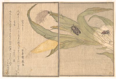  door Kitagawa Utamaro