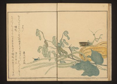 Sprinkhaan op boon en bidsprinkhaan op meloen door Kitagawa Utamaro