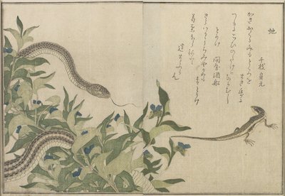 Slang en Hagedis, 1788 door Kitagawa Utamaro