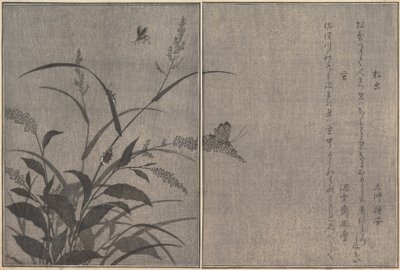 Boomkrekel Matsumushi, Vuurvlieg Hotaru..., 1788 door Kitagawa Utamaro