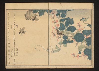 Wespen en harige rups op pijlwortel door Kitagawa Utamaro