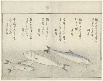 Vier vissen door Kitao Masayoshi