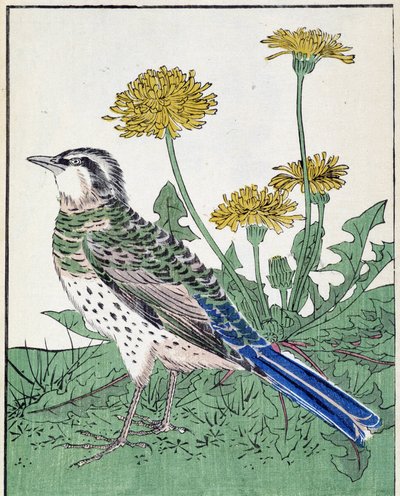 Vogel. Japanse tekening door Kitao Kosuisai door Kitao Shigemasa