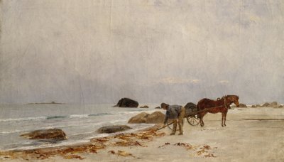 Rijdend Zeewier door Kitty Lange Kielland