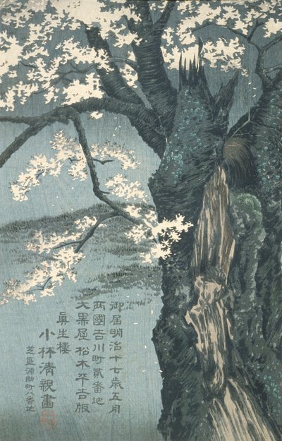  door Kobayashi Kiyochika