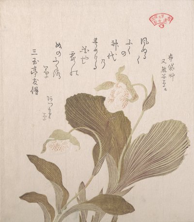 Hotei bloemen, 19e eeuw door Kubo Shunman