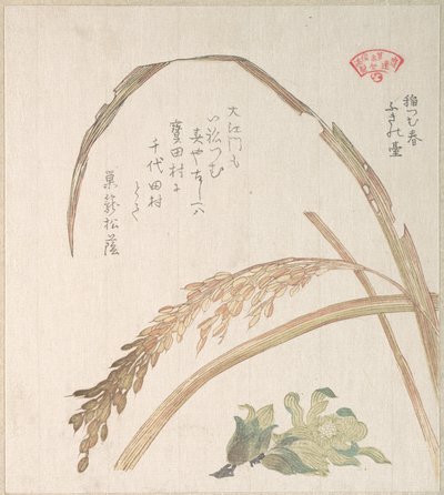  door Kubo Shunman
