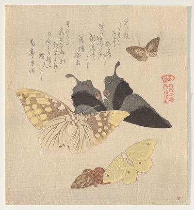 Het Schilderhandboek van Vlinders door Kubo Shunman
