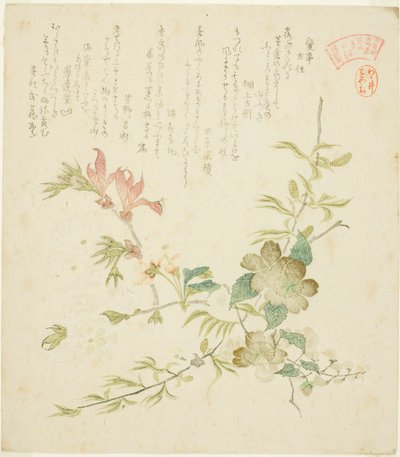 Verschillende Lentebloemen, uit de serie "Lentebloemen en Bomen voor de Kasumi Poëziekring van de Yomo Groep" door Kubo Shunman
