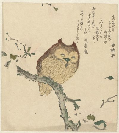 Uil op een magnoliatak door Kubota Shunman