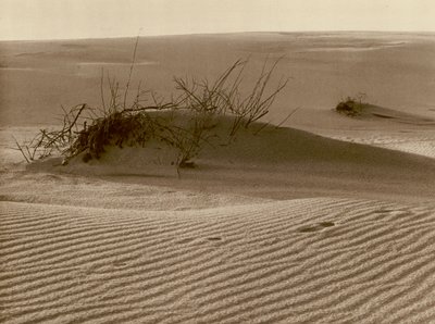 Wanderdune op de Koerse Schoorwal ten noorden van Rossitten door Kurt Hielscher