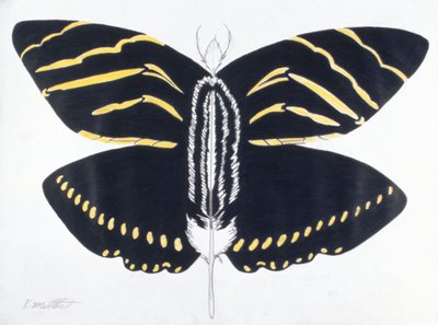 Gevederde vlinder, 2004 (kleurpotlood op papier) door Kurtis L. Miller