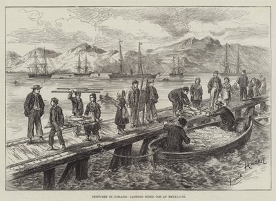 Schetsen in IJsland, het lossen van gedroogde kabeljauw in Reykjavik door L. Huard