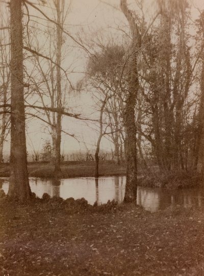 Album van de Eerste Wereldoorlog in Friuli-Venezia Giulia: de vijver in het park van Villa Brazza, Oorlogshospitaal nr. 17, Soleschiano Manzano door L. Verdiani