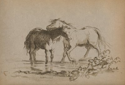Paarden, 1903 door Lady Diana Spencer