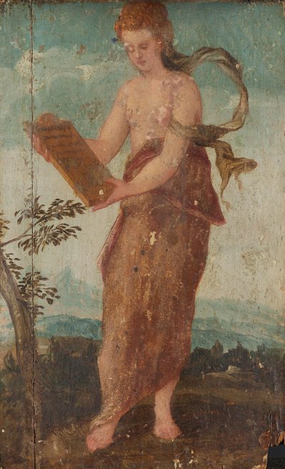  door Lambert Sustris