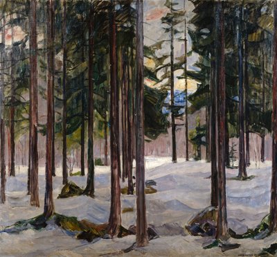 Bomen in winterlicht door Lars Jorde