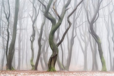  door Lars van de Goor †