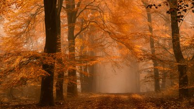  door Lars van de Goor †