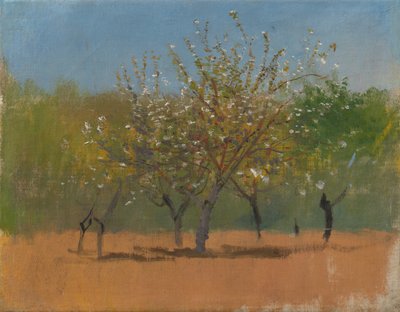 Bomen in Bloei, c.1880-90 door Laszlo Mednyanszky