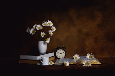 Daisies Books Ochtendrust door Leah Xu