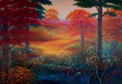Naar het licht door Lee Campbell