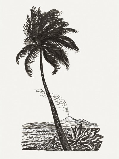 Palmboom met een eiland (ca. 1891–1941) door Leo Gestel