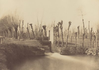 Landschap, Montebello,c. 1860 (foto) door Léon Gérard