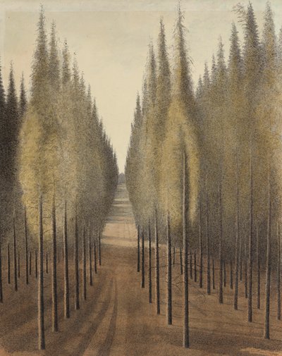 De brandgang door Leon Spilliaert