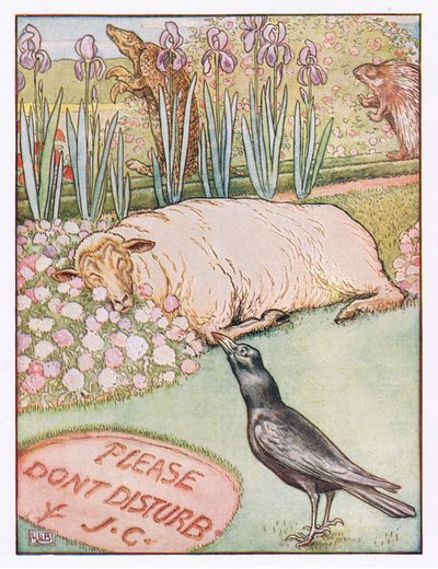 En de schapen gingen slapen, illustratie uit 