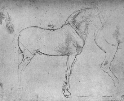 Een paard in profiel naar rechts en zijn achterkwartieren, ca. 1480, 1945 door Leonardo da Vinci