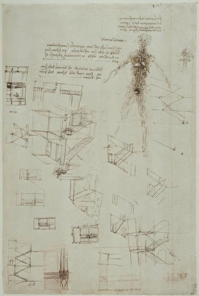 Anatomiestudies door Leonardo da Vinci