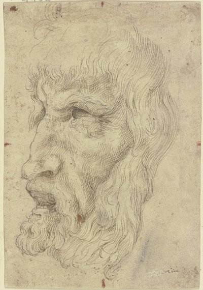 Antieke maskers aan de linkerkant door Leonardo da Vinci