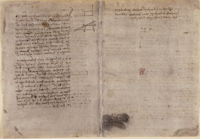 Aantekeningen over geometrie (c.1518) uit 