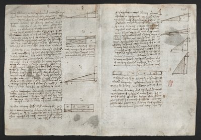 Tekeningen over mechanische krachten en krachten, percussie, zwaartekracht, beweging, optica en astronomie, met verschillende rekenkundige en geometrische stellingen (illustratie uit Leonardo