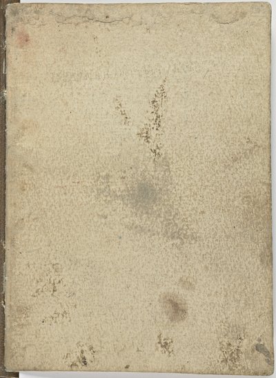 Vogelvluchtcode, c. 1505-06, papieren manuscript, cc. 18, Omslag IV door Leonardo da Vinci