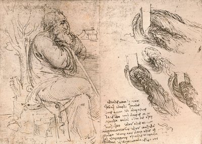 Tekening die de weergave van haar dat in krullen valt illustreert, c1472-c1519 1883 door Leonardo da Vinci