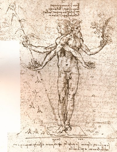 Tekening van een allegorische compositie, c1472-c1519 1883 door Leonardo da Vinci