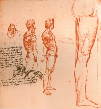 Tekeningen die de bewegingen van het menselijk figuur en krijgers in gevecht tonen, ca. 1472-ca. 1519 1883 door Leonardo da Vinci