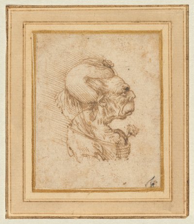  door Leonardo da Vinci