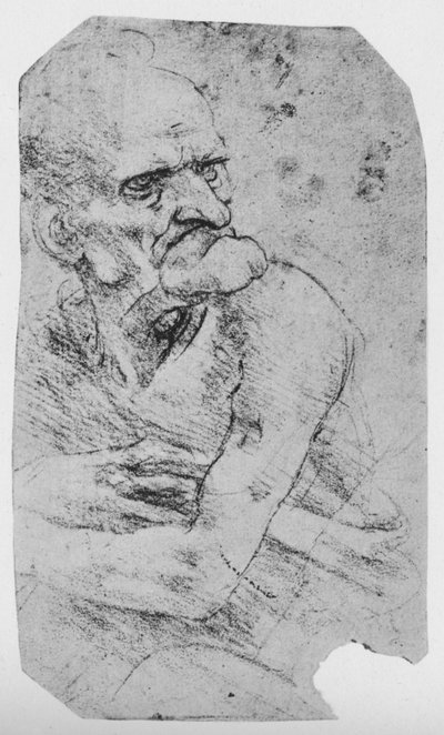Halflange Karikatuur van een Oude Man met een Prominente Kin, ca. 1480 1945 door Leonardo da Vinci