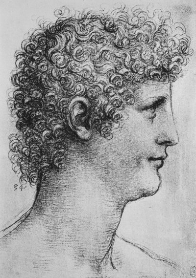 Hoofd van een jongeling in profiel naar rechts door Leonardo da Vinci
