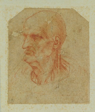 Hoofd van een baardloze oude man, linkerprofiel door Leonardo da Vinci