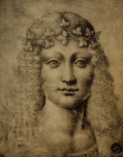 Hoofd van een meisje of van een jonge Bacchus door Leonardo da Vinci